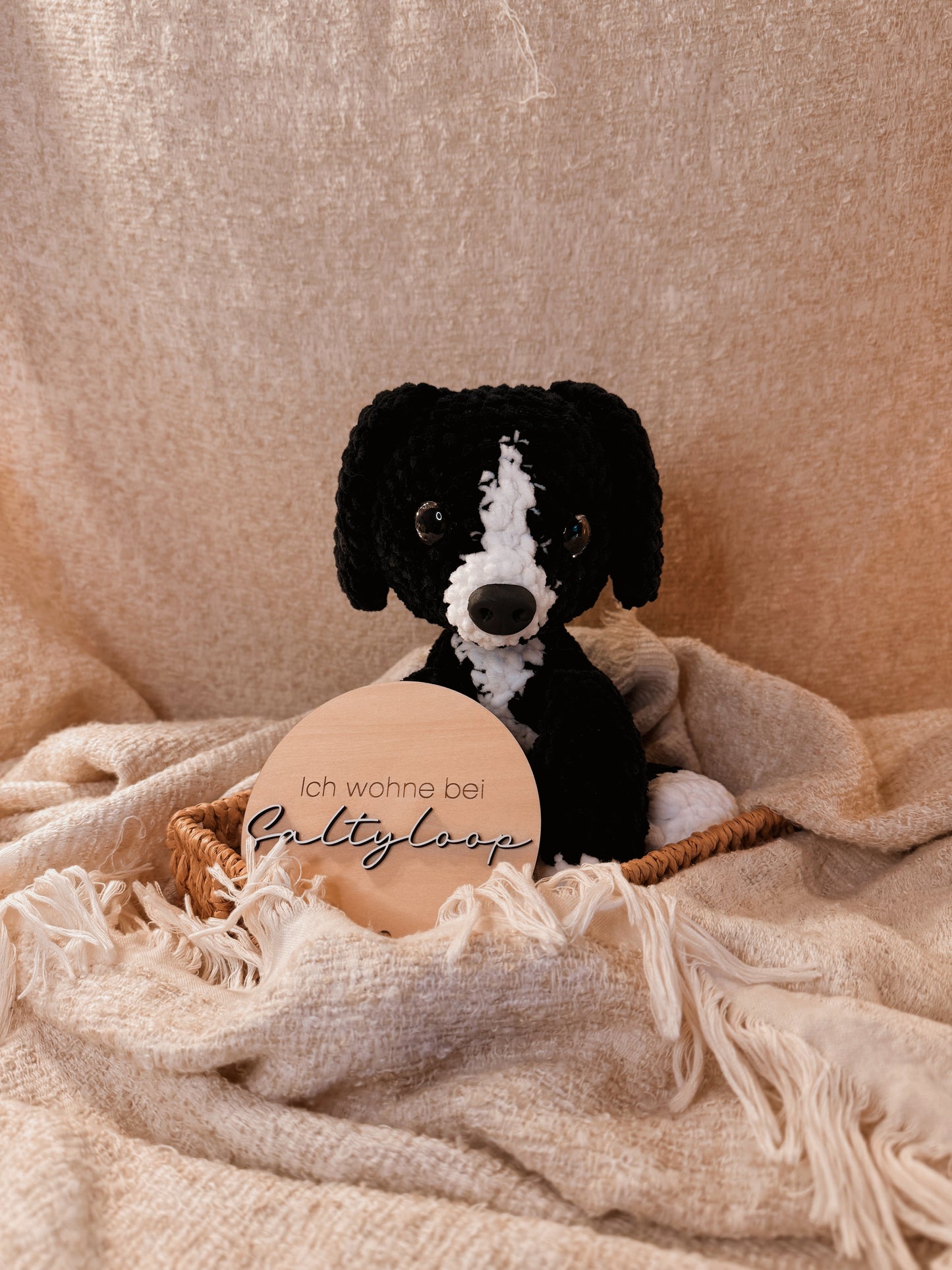 Hundewelpe „Vita“