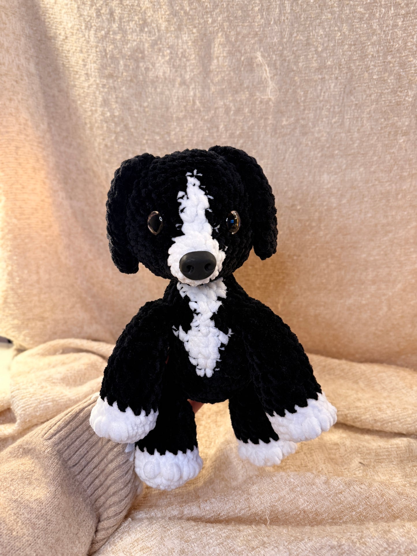 Hundewelpe „Vita“