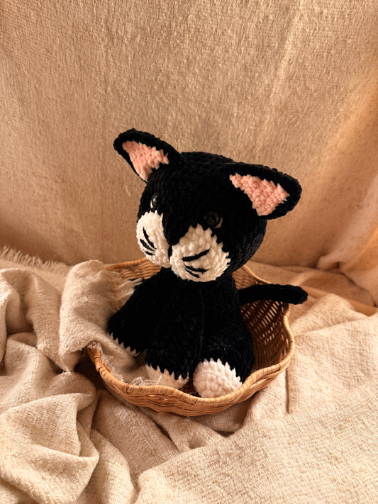 Kätzchen „Elli“