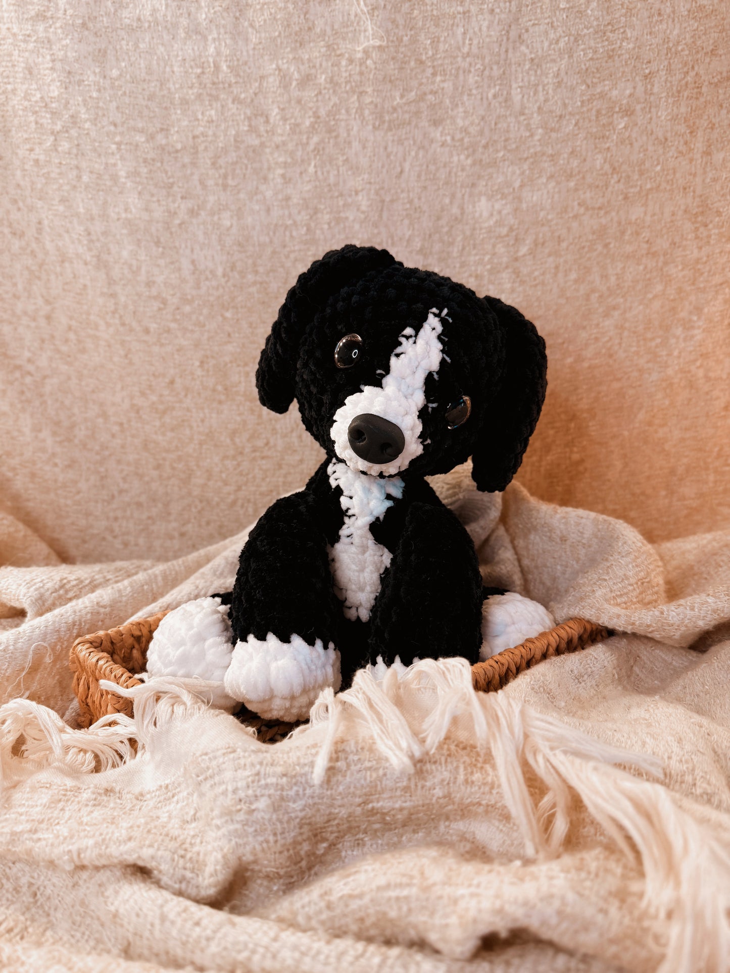 Hundewelpe „Vita“