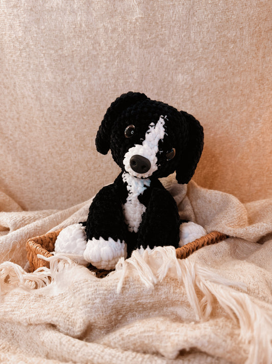 Hundewelpe „Vita“