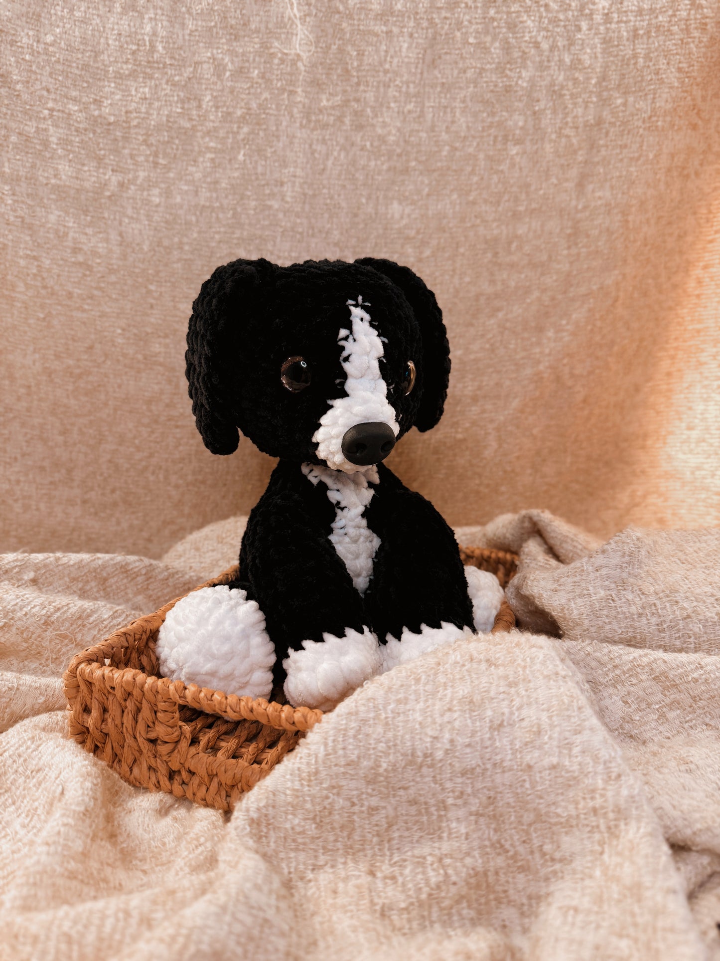 Hundewelpe „Vita“