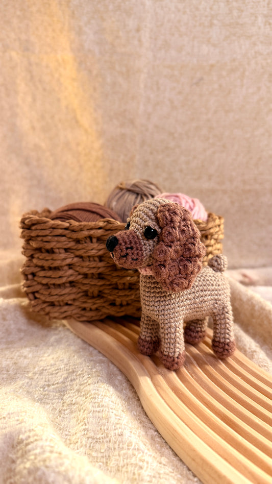 Cocker Spaniel „Carla“